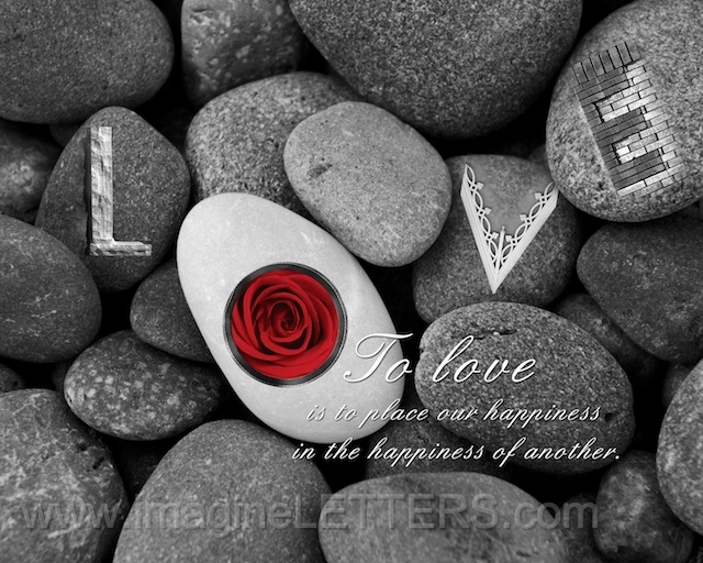 Wall_Art_Alphabet_Photography_Art_ 1774.jpg